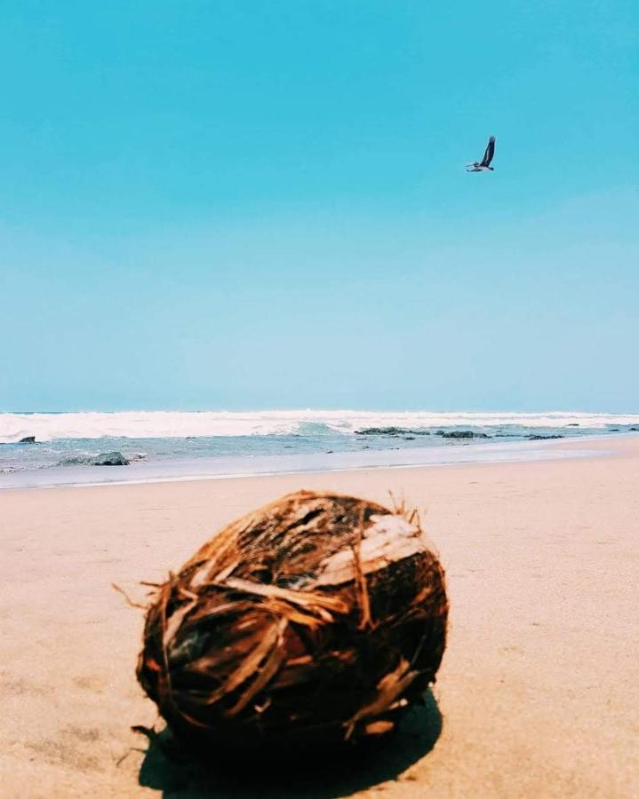 Troncones Point Hostel Luaran gambar