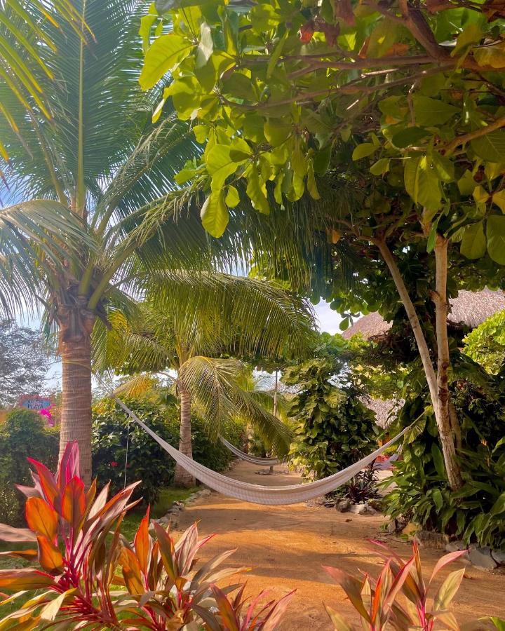 Troncones Point Hostel Luaran gambar