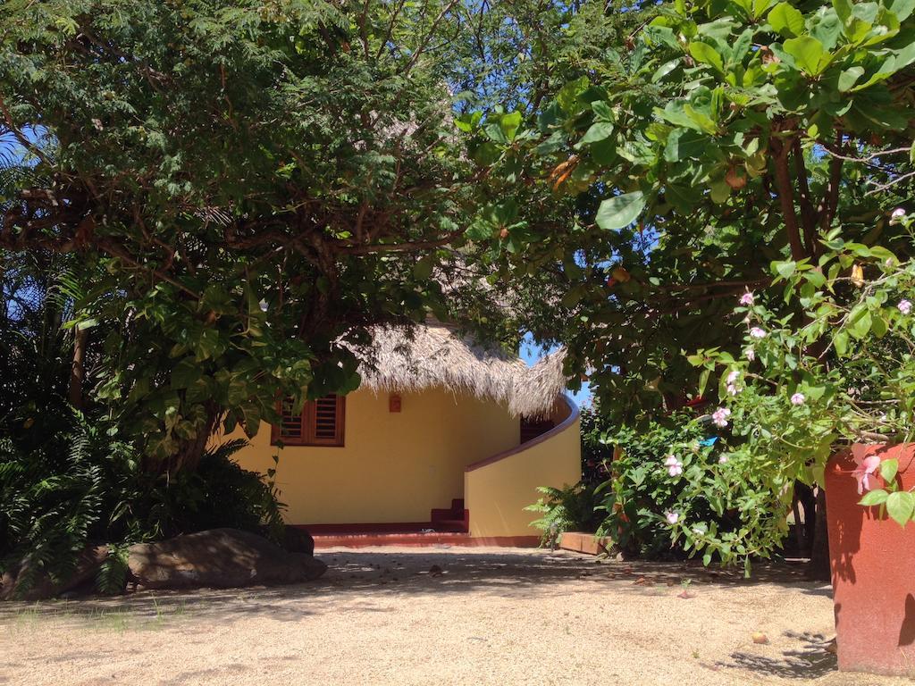 Troncones Point Hostel Luaran gambar
