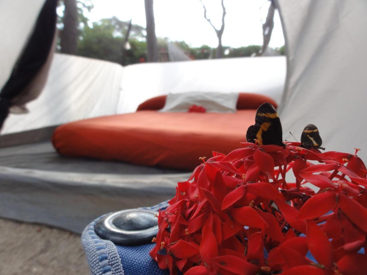 Troncones Point Hostel Luaran gambar