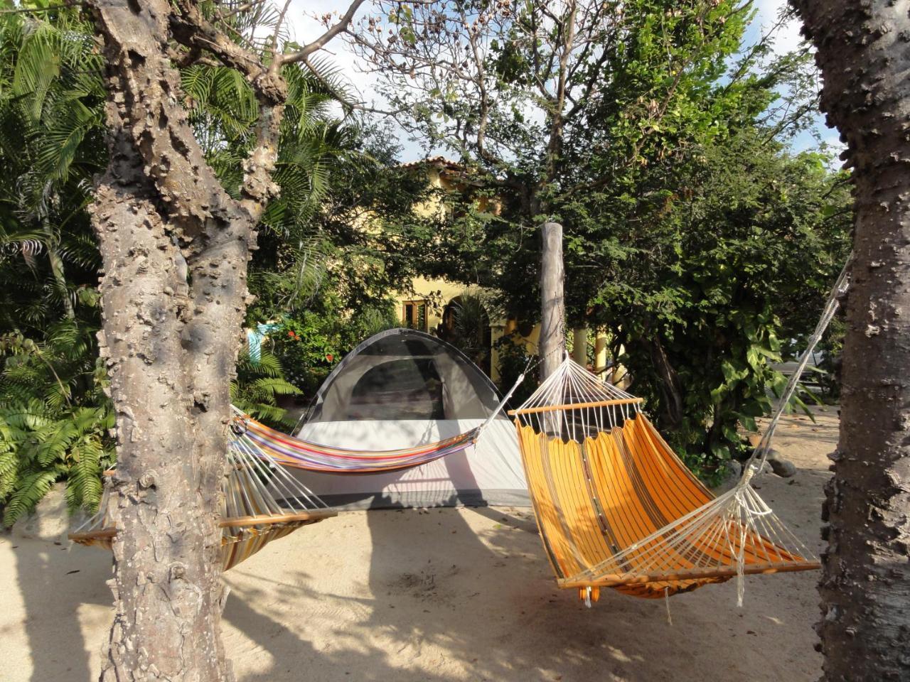 Troncones Point Hostel Luaran gambar